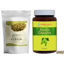 HERBAL HILLS Gurmar Tea Powder e Karela Capsule Pack di 2 Combo