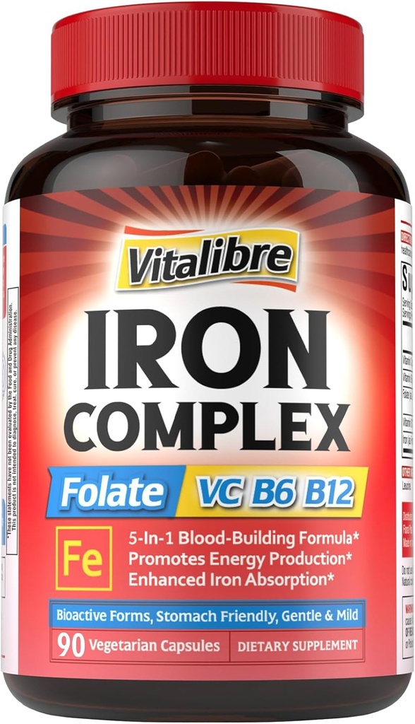 Iron Supplement for Women & Men, with Vitamins C, B6, B12 & Folate for Iron Deficiency, Blood Building & Energy Support, Stomach Friendly, Better Absorption, Non-GMO, No Gluten, 90 Vegan Caps