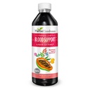 Papaya Leaf Sangue Supporto Liquido - 15X Forza - Papaya Leaf Extract - Piatti sani, Sangue Cleanse, Digestione, Papaya Enzyme -12oz Liquido - Bontà Erba (1 btl)
