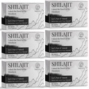 30.000 MG Shilajit compresse, 100% Shilajit Pure, Himalayan Organic, Shilajit per uomini e donne ricchi di acido Fulvic & 85+ Trace Minerals, Shilajit Supplement per Energy & Immune System, 360 Count