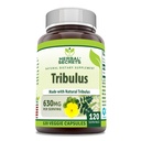 Herbal Secrets Tribulus 630 Mg 120 capsule vegetali Supplemento | Non OGM | Gluten Free | Made in USA