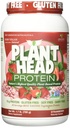 Genceutic Naturals Plant Head Protein Naturally Aromaed Best Tasting Strawberry Raw Vegan Protein Integratore alimentare Gluten Soy Dairy GMO Free – 30 Servings (1,8 Pounds)