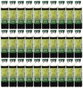 Principe di Pace Panax Rosso Ginseng Extractum Ultra Strength 30 Vial(s)