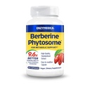 Enzymedica, Phytosome di Berberine, 9.6X migliore biodisponibilità, supplemento dietetico vegano naturale ad alta potenza per il supporto metabolico, 60 capsule