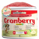 Mirtillo per cani in polvere - salute del tratto urinario, UTI del cane, supporto della vescica, pietre della vescica, supporto di incontinenza, supplemento di mirtillo - sapore di bacon (100 Scoops)