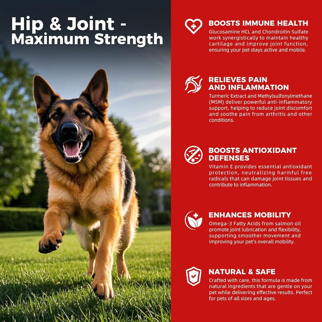 Cane Hip e supplemento congiunto - Dolore al cane Rilievo Anti infiammatorio con Glucosamina, Condroitina, MSM, Turmerico, Vitamina E, Omega 3 - Treats Hip Dysplasia, Artrite - Tutto Grande Piccolo Medio Breed