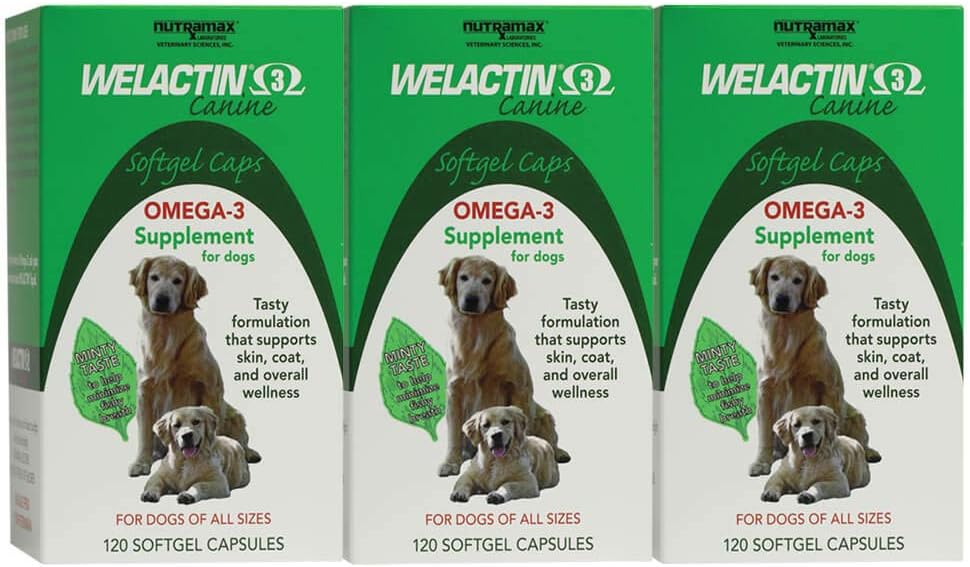 Nutramax Welactin Omega-3 Fish Oil Skin e Coat Salute Supplemento Liquido per Cani - 3 Pack, 360 Total Softgels