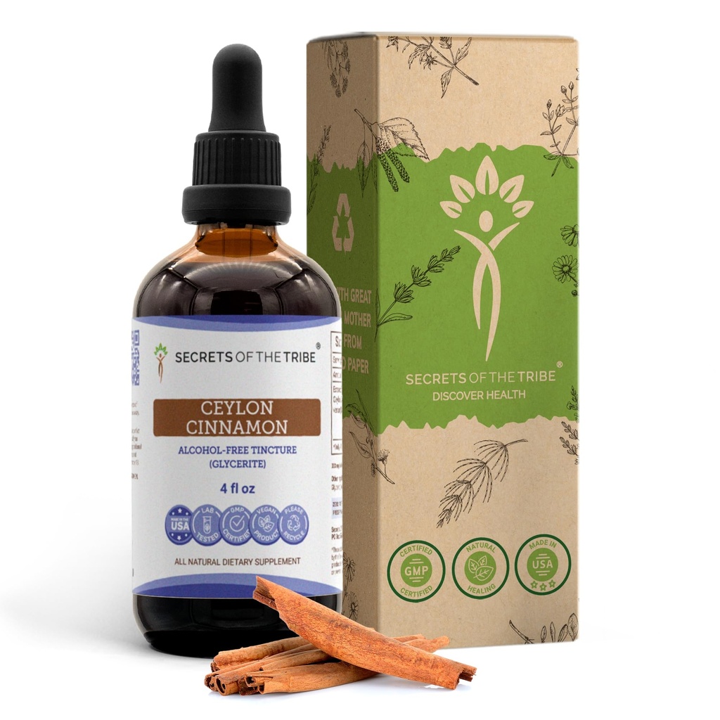 Segreti della Tribe Ceylon Cinnamon Tincture Alcohol-Free Liquid Extract, Ceylon Cinnamon (Cinnamomum Verum) Dried Bark (4 FL OZ)
