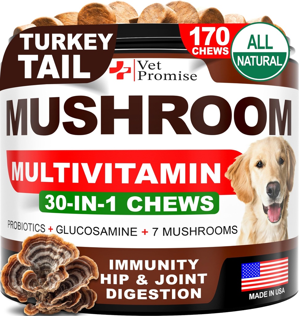 Mushroom for Dogs - 170 Chews - Tail Turchia - Integratore di funghi per cani - Lions Mane - Reishi - Supporto per l'immunità Vitamine Multivitamina - Joint Health - Energy - Gut - Skin - Made in USA