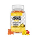 Gummie di Mullein, 2000mg Estratto di foglie di Mullein Organico con Quercetin, Bromelain & Vitamin D3, Estratto di foglie di Mullein per la pulizia del polmone naturale, migliorare l'appetito, Vegan, Non OGM, 1 confezione