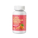 Super Boswellia Serrata con G-FOS - 98% acido boswellico - Supporta Joint & Mobility Health - 180 capsule vegane, 180 giorni di alimentazione