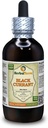 Ribes nero (Ribes nigrum) Tintura, Dried Leaves Liquid Extract (Nome: HerbalTerra, Proudly Made in USA) 4 fl.oz (120 ml)