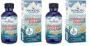 Nordic Naturals DHA Xtra per bambini, Berry Punch - 2 oz per bambini - 880 mg Omega-3 totali con EPA & DHA - Funzione cognitiva e immunitaria, apprendimento, sviluppo sociale - Non-GMO - 48 Serve (pacchetto di 2)