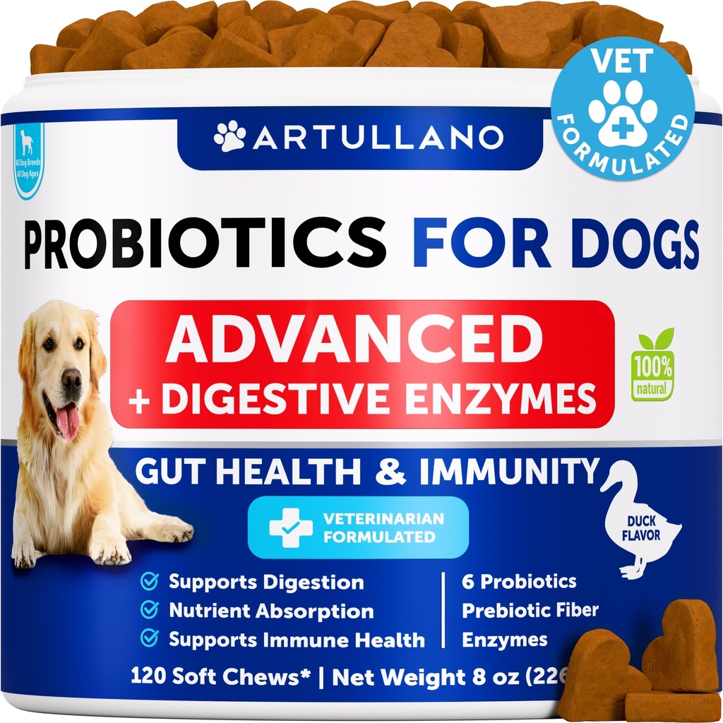 Probiotici per cani - Support Gut Health, Itchy Skin, Allergies, Immunità, Yeast Balance - Probiotici per cani e enzimi digestivi con prebiotici - Ridurre diarrea, Gas - 120 Cuciture probiotiche per cani
