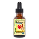 CHILDLIFE ESSENTIALS Echinacea per bambini - Gocce di Echinacea per bambini, Tintura liquida, Supplemento gratuito per bambini, bambini - Arancione naturale, 1 Fl Oz (Pack of 1)