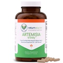 Artemisia Trinity | Pulizia per gli adulti con Wormwood Herb & Artemisinin 30:1 Estratto | Resistenza e supporto digestivo | Integratori di erbe | Pure, Plant-Based, 90 Caps
