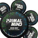Mente Primale Neon Mint - Stimulant-Free Calm Focus Pouches | L-teanina + Bacopa Monnieri + Ginkgo Biloba | Nicotina-Free, Caffeina-Free | 20 Pouches per Can (100 Totale in 5-Pack)