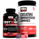 Bundle di prestazione del fattore di forza: prova X180 Max T-Booster (60 gummie di bacche miste) & Creatina Monoidrato 5g (150 Gummie di anguria)