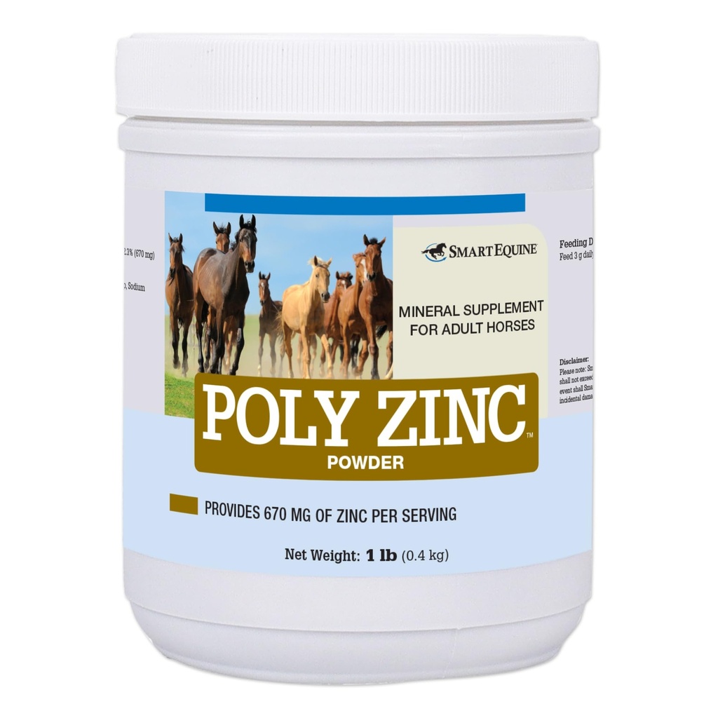 Polvere di zinco di SmartEquine | Supplemento di zinco per cavalli | Vitamine e minerali di cura di Hoof | Supporta il benessere di Bone e Hoof | Integratore di rivestimento della pelle di Equine | 1 lb