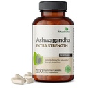 Futurebiotics Ashwagandha Extra Forza Stress & Mood Supporto con BioPerine - Formula Non OGM, 100 Capsule Vegetariani