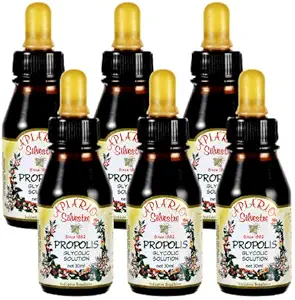 Mantenere il livello di glucosio sano e la salute cardiovascolare - 6 bottiglie pacchetto di valore brasiliano Green Bee Propolis liquido glicolico Extra- Non alcolico, cera libero, zucchero libero (PG)
