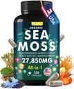 Sea Moss Capsule Complex con Sea Moss, Black Seed Oil, Aşhwagandha, Ginger & Vitamins C, D3-120 Capsule, Integratori Superfood - Pillole Avanzate Seamoss, Pillole di Moss del Mare Selvatico, Made in USA