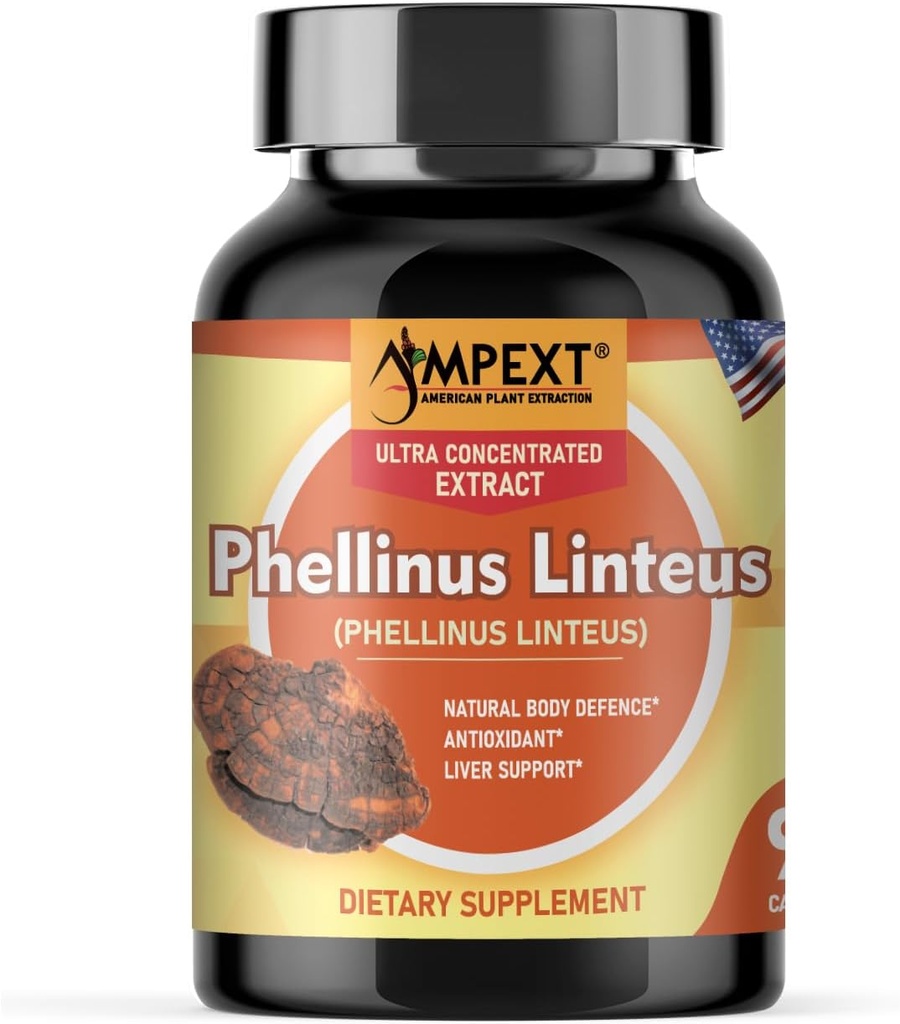 Phellinus linteus Mushroom Extract - Premium Quality, Only Fruiting Bodies, Antiossidante, Immunity Booster, Supporto per fegato, 90 Veg Caps.