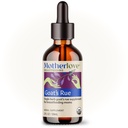 Motherlove Goat’s Rue (2 Ounce Tincture) Integratore di lattazione per lo sviluppo del seno e l’ottimizzazione dell’offerta del latte materno — Certificato USDA Organico, Vegan, Kosher, Soy-Free