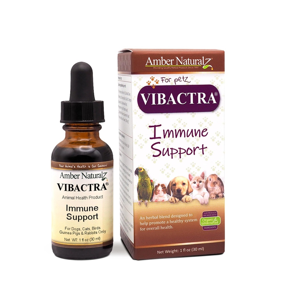 Ambra NaturalZ Vibactra Immune Support Integratore a base di erbe per cani, gatti, uccelli, porcellini di Guinea e conigli | Miscela di erbe per la salute generale | 1 Bottiglia di vetro di oncia fluida | Prodotto negli Stati Uniti