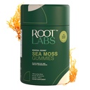 Sea Moss Gummies I 92+ Minerali I Black Seed Oil I KSM 66 Ashwagandha I Lab Tested I No Aggiunto Sugar | for Men, Women I Non-GMO I 100% Natural & Organic I 1600 mg I 60 Gummy