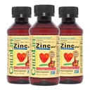 CHILDLIFE ESSENTIALS Liquid Zinc Plus per Bambini & Toddler - Liquido Supplemento Gocce, Zinc Gluconate & Copper per Supporto Immune - Mango Strawberry, 4 Fl Oz (Pack of 3)