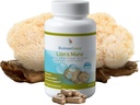 MushroomScience Lions Mane Mushroom Capsule, Memoria & Concentrazione Supporto, Estratto di spettro completo, Integratore di funghi per adulti, Funghi espulsi ad acqua calda, Vegetariano, 300MG, 90 ct