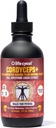 Life Cykel Cordyceps Mushroom Extract with Kakadu Plum - Energy, Stamina & Vitality Support, Natural Aging Supplement - Non-GMO e Vegan Tincture - 4Fl Oz
