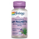 SOLARAY Saw Palmetto Extract - Prostate Health and Urinary Tract Support - 136 mg acidi grassi e Sterols - Lab verificato, 60-Day Money-Back Guarantee (120 Servings, 120 Softgels)