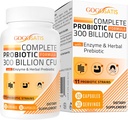 Probiotici per le donne e gli uomini, 300 miliardi di CFU 11 Strains + Enzimi organici di erbe e digestivi, Probiotico per la salute digestiva, Gas & Bloating, Immune, Salute Gut per le donne e gli uomini, Scaffale stabile, 60 Caps