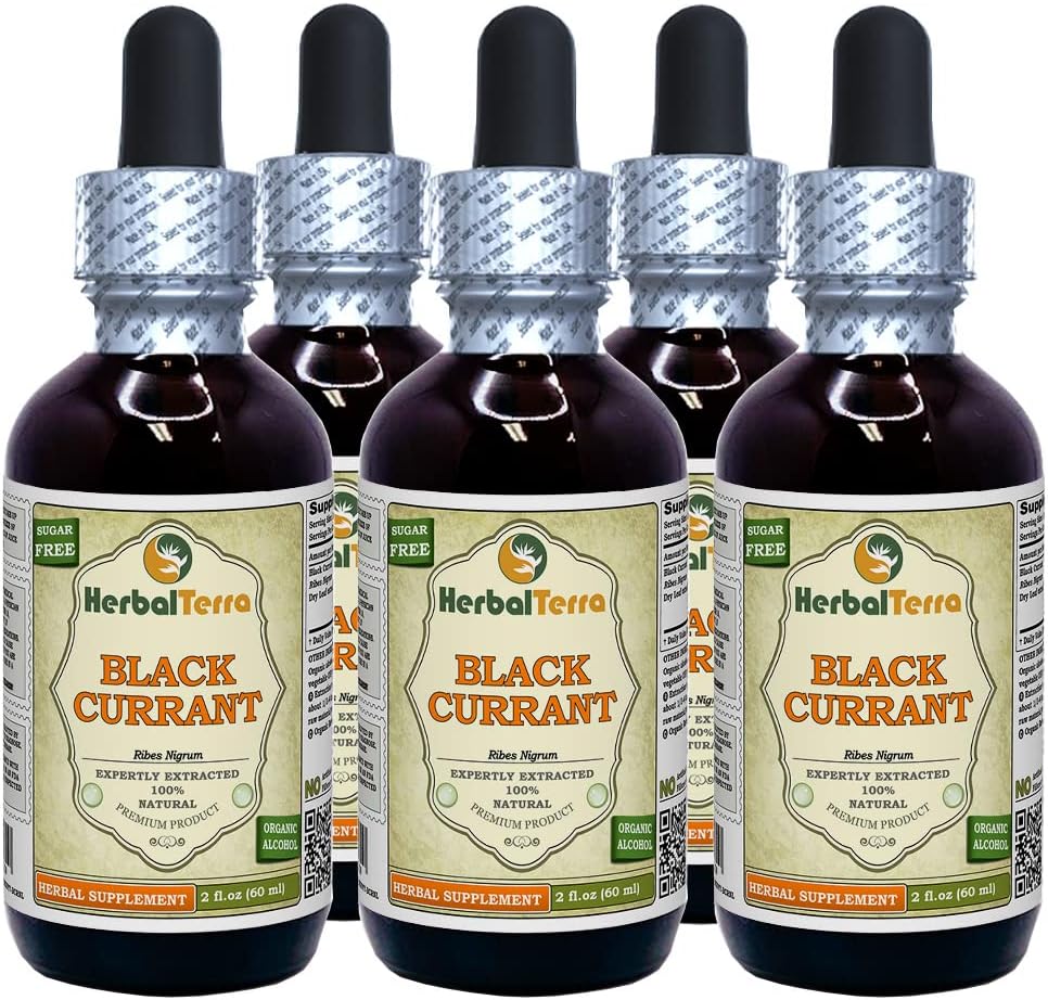 Ribes nero (Ribes nigrum) Tintura, Dried Leaves Liquid Extract (Nome: HerbalTerra, Realizzato in USA) 5x2 fl.oz (5x60 ml)