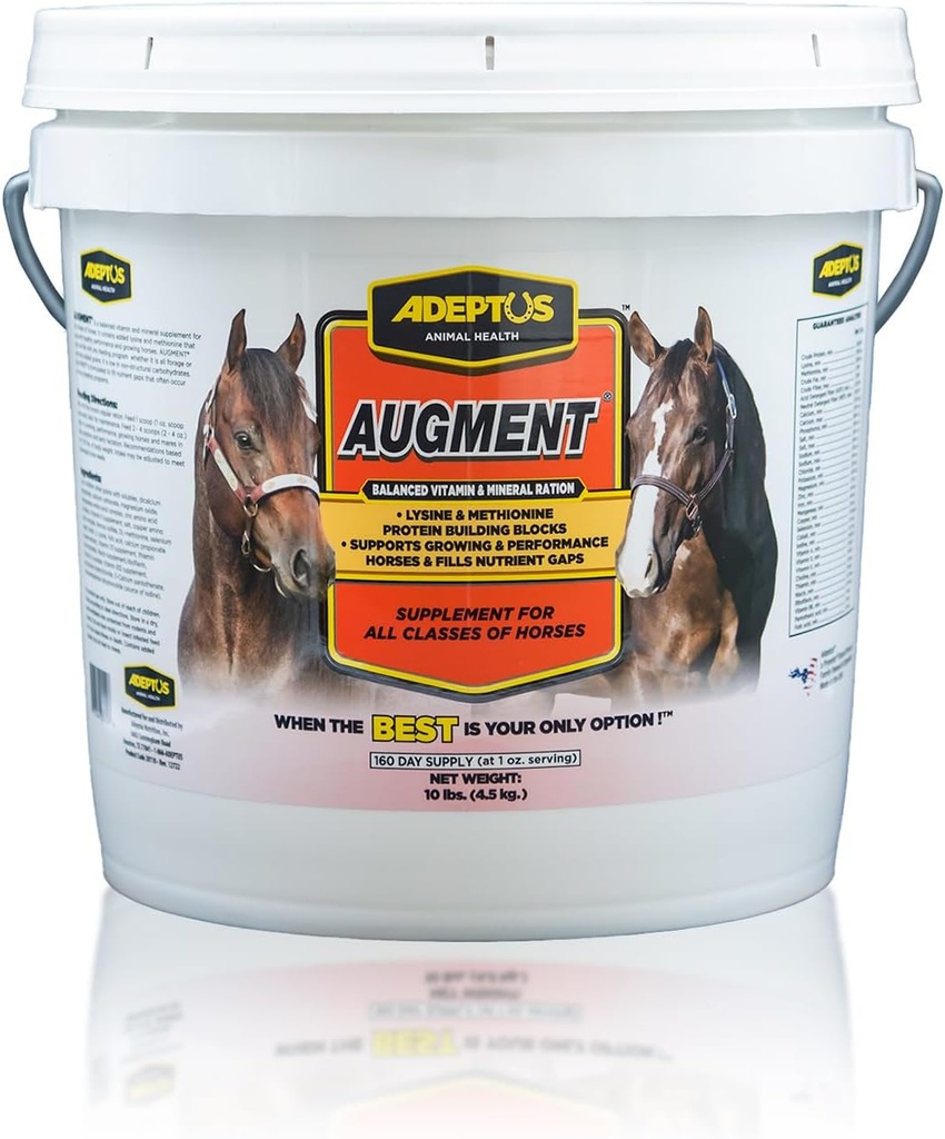 Adeptus Nutrition Augment Vitamin & Mineral Balancer, Equipaggiamento di Nutrizione di Cavalli Integratore con Biotina, Aminoacidi, Minerali