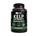 Ingredienti originali puri estratto di kelp (365 capsule) Nessun filler di magnesio o di riso, sempre puro, verificato di laboratorio