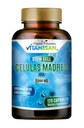Celulas Madres AFA Stem Natural Cell 120 Capsule 1000 mg Blue Green Algae Non GMO Gluten Free Aphanizomenon Flos-aquae celula Suplemento di madre