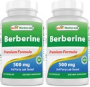 Best Naturals Berberine 500mg 120 Capsule - Supporta Funzione Immune, Cardiovascolare e Funzione Gastrointestinale (120 Conta (Pacchetto di 2))