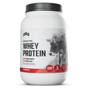 Livelli Grass Fed Whey Protein Polvere, nessun artificiale, 24G di proteine, fragola, 2LB