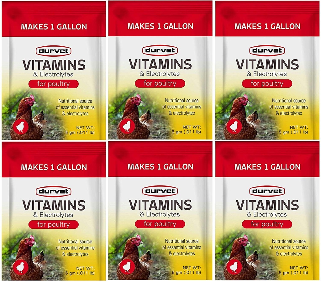 Durazzo 6 Confezione di Vitamine ed Elettroliti per Pollame, 5 Grammi, Rende 6 Galloni