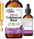 Tintura di Echinacea Selvatica e Organica - Supporto Immune Gocce con Estratto di Radice di Echinacea Liquido - Integratori Angustifolia - Vegan, Zucchero & Alcol-Free - 2 fl oz