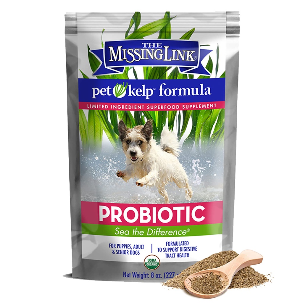 Il collegamento mancante Pet Kelp Canine Probiotic 8oz Superfood in polvere supplemento, formula ingrediente organico e limitata per la salute digestiva dei cani