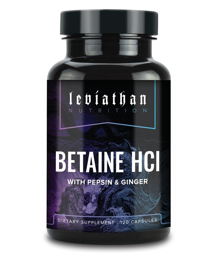 Leviathan Betaine HCl con Pepsin & Ginger - Integratore di enzimi digestivi per l'aiuto alla digestione e il supporto, acido di Stomach e assorbimento nutriente
