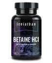 Leviathan Betaine HCl con Pepsin & Ginger - Integratore di enzimi digestivi per l'aiuto alla digestione e il supporto, acido di Stomach e assorbimento nutriente