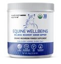 Om Mushroom Matrix - Equine | Wellbeing | Stati Uniti d'America Crescita umana-gregazione polvere di funghi organici Mostra supplemento sicuro cavallo | Benessere, Recupero, & Assistenza agli anziani | 300 Grammi, 10.5 oz
