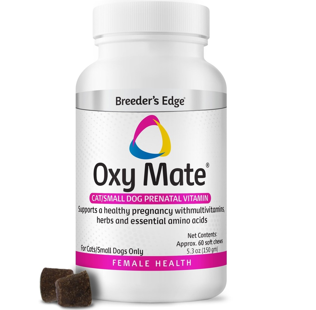 Vitamine Prenatali per cani e gatti, Vitamine Comprehensive per cani e gatti incinte arricchite con nutrienti essenziali per mamme e lettini sani, 60ct Small Dog & Cat