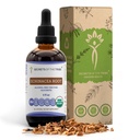 Echinacea Root USDA Organic Tincture | Alcohol-Free Extract, High-Potency Herbal Drops, Immune System Health | Realizzato in 100% certificata Organic Echinacea Root (Echinacea Purpurea) 4 oz