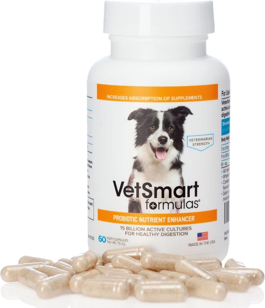 Probiotici per cani Supplemento - Supporta gli enzimi digestivi per l'assorbimento dei nutrienti - 15 miliardi di culture probiotiche attive Attacco infiammazione per prevenire l'infezione